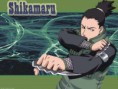 /album/fenykepgaleria/shikamaru-jpg/