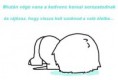 /album/fenykepgaleria/t-t-jpg/