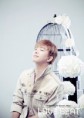/album/fenykepgaleria/mlaq3-jpg1/